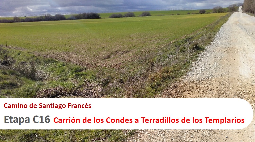Imagen Etapa C16. Carrión de los Condes a Terradillos de los Templarios. Camino de Santiago Francés.