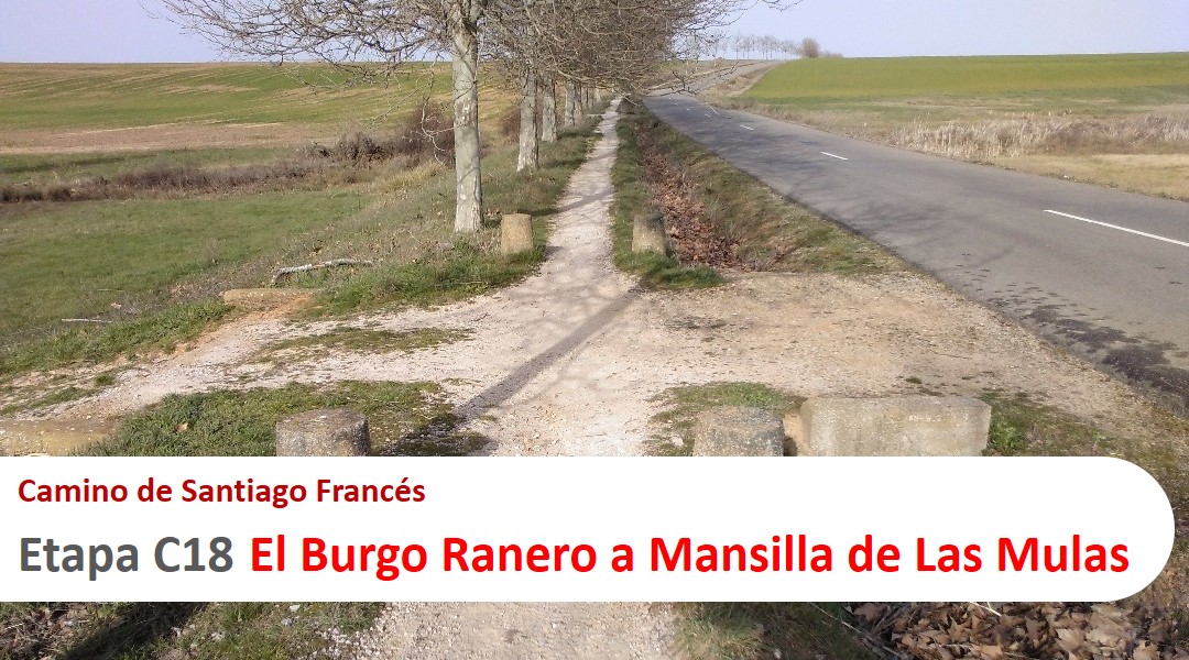 Imagen Etapa C18. El Burgo Ranero a Mansilla de Las Mulas. Camino de Santiago Francés.